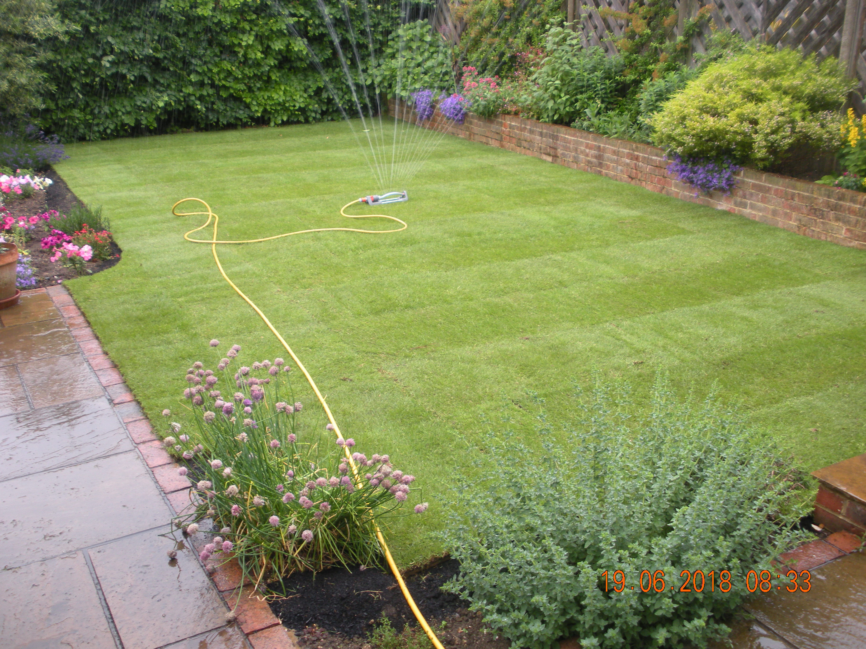 Completed lawn project
